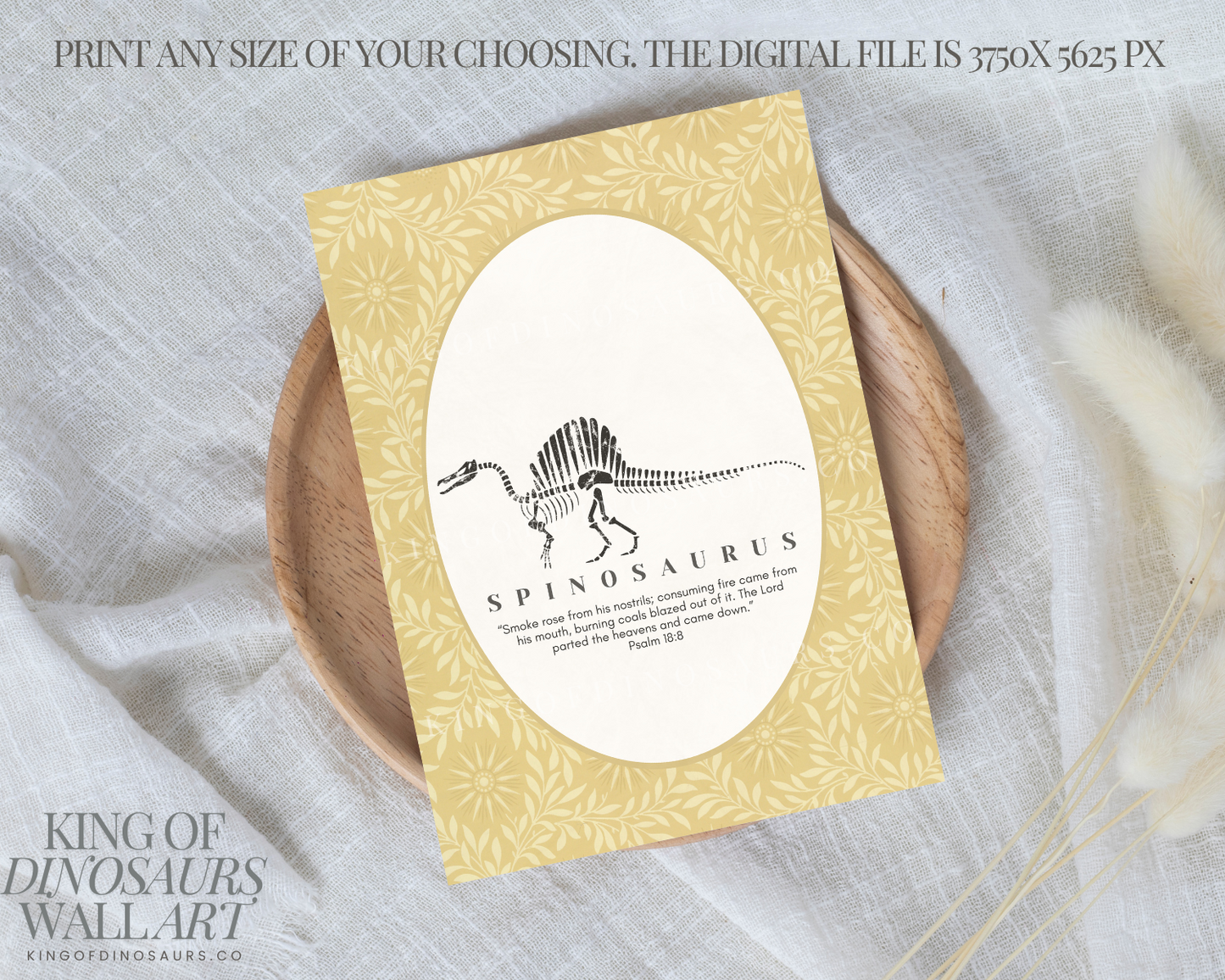 007 Spinosaurus Digital Art