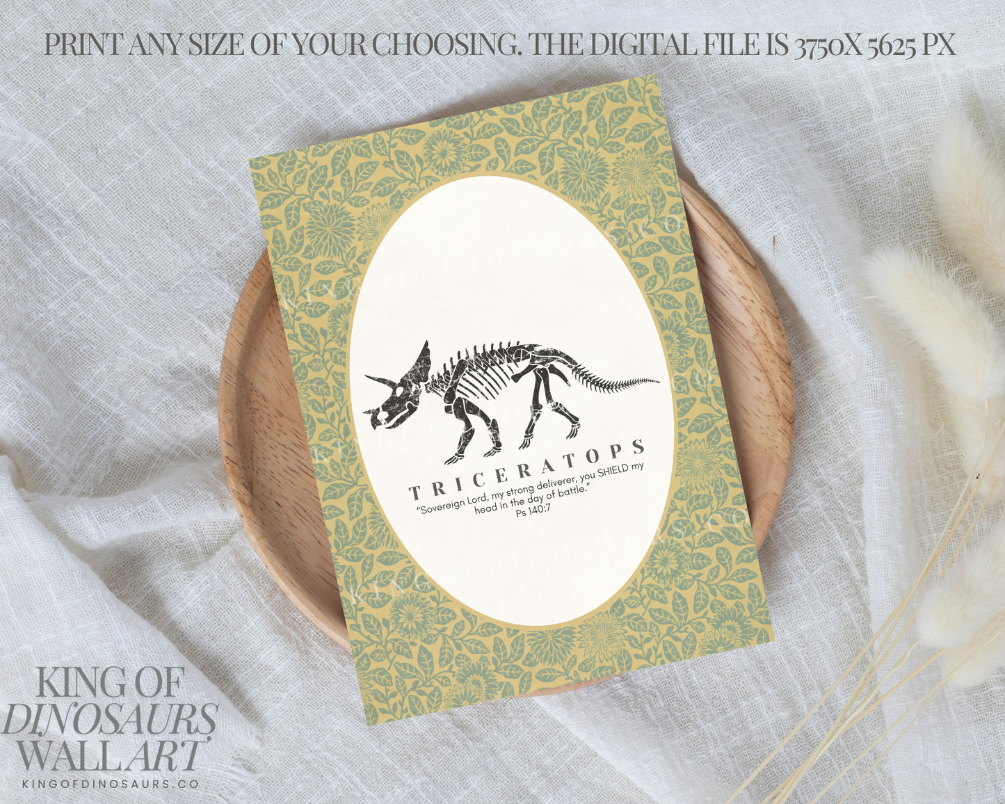 008 Triceratops Digital Art