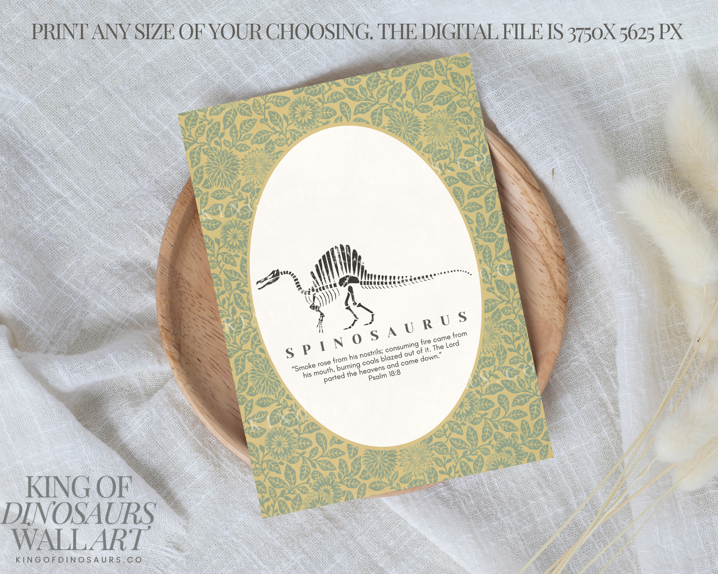 008 Spinosaurus Digital Art