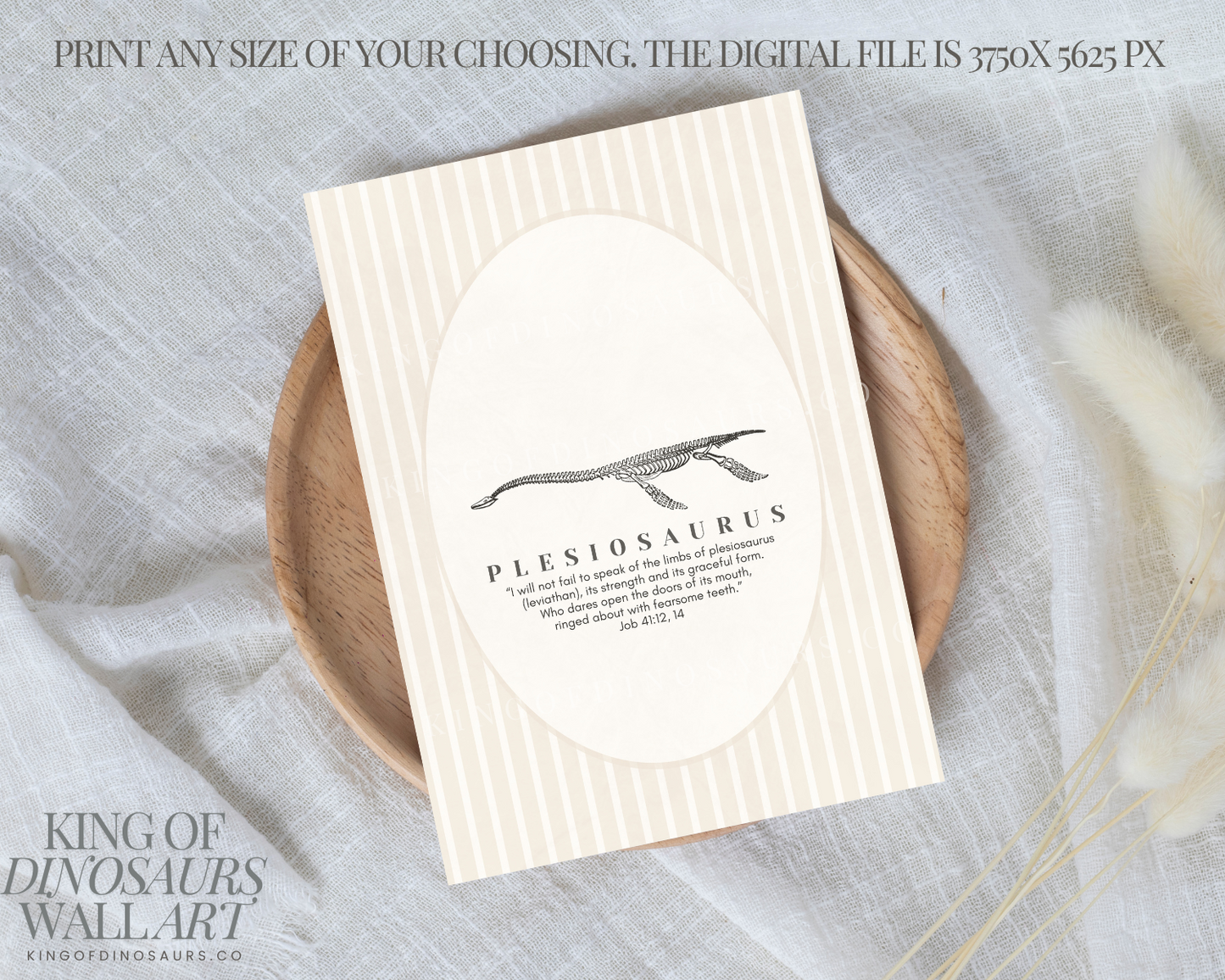 001 Plesiosaurus Digital Art