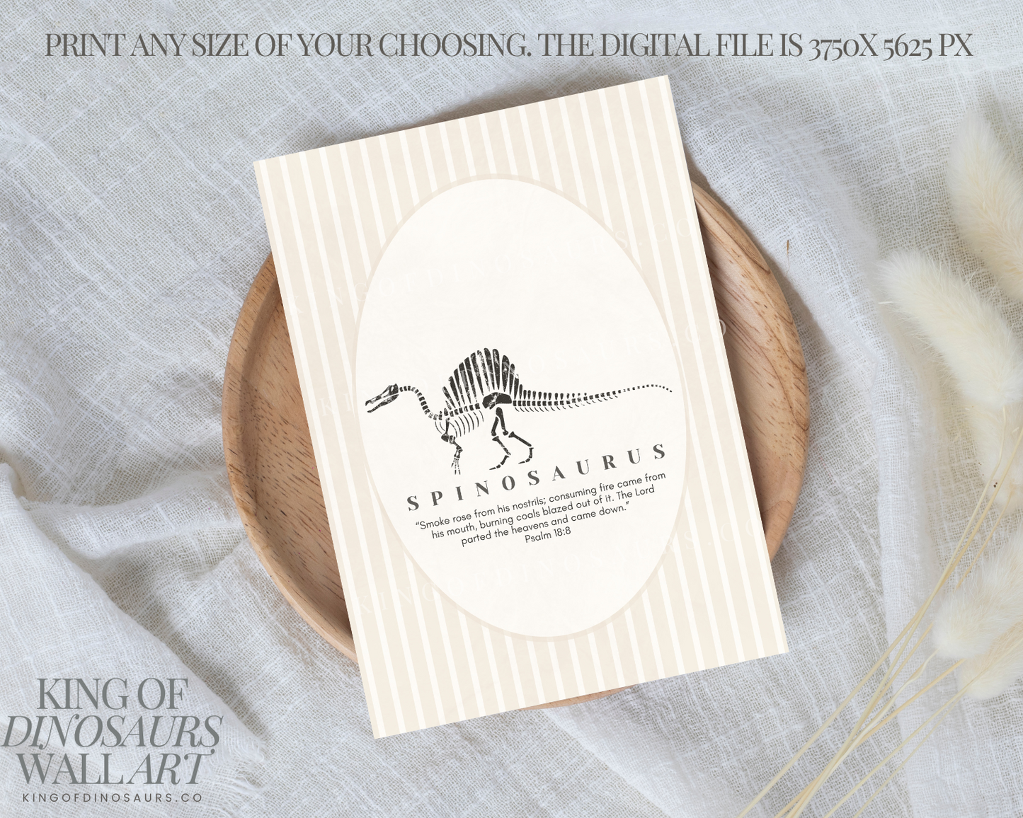 001 Spinosaurus Digital Art