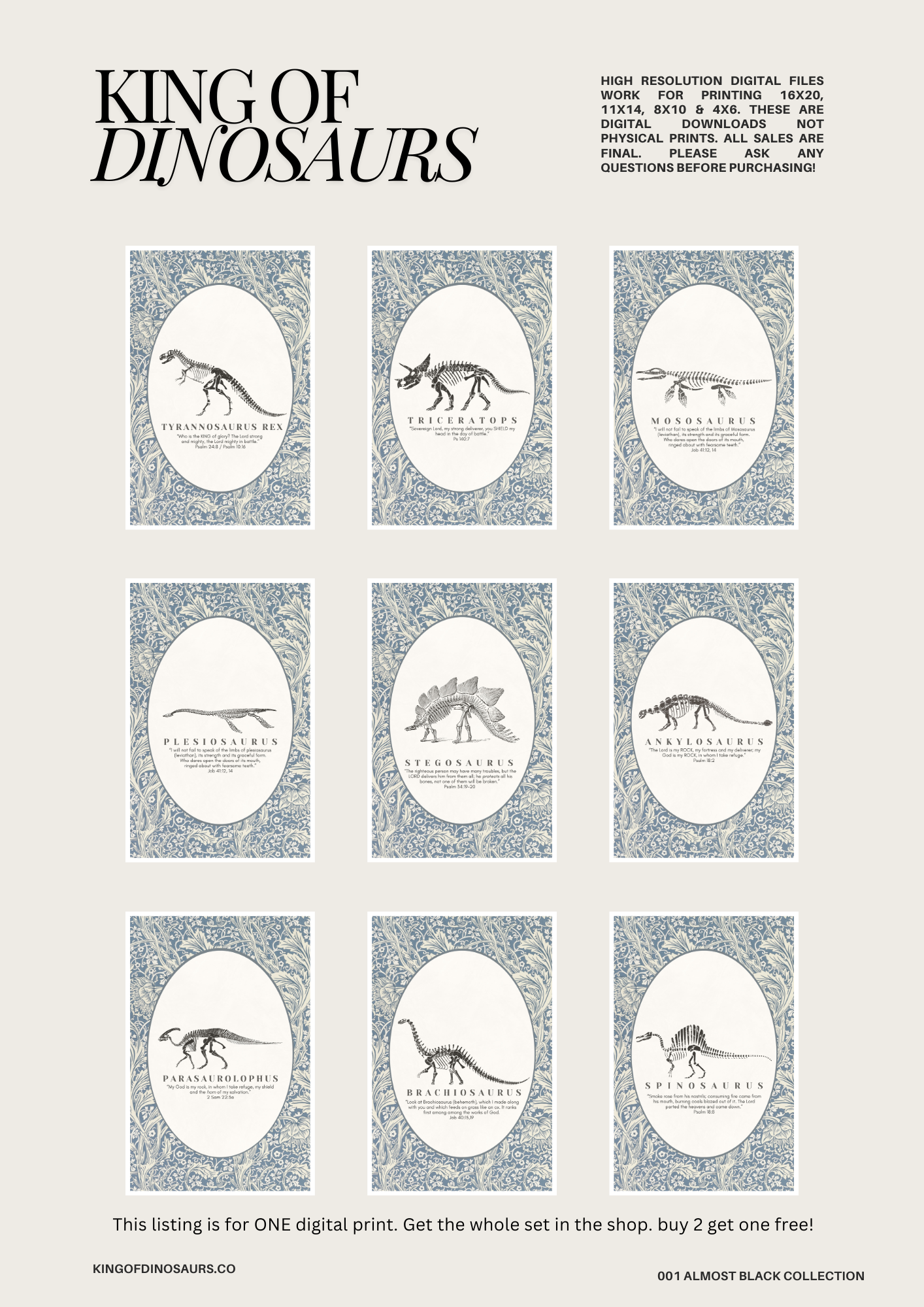 002 Plesiosaurus Digital Art