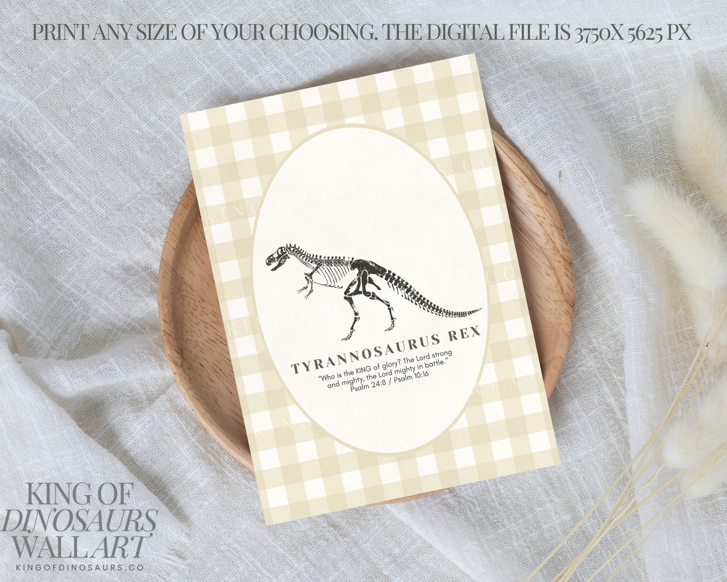 009 Tyrannosaurus Digital Art