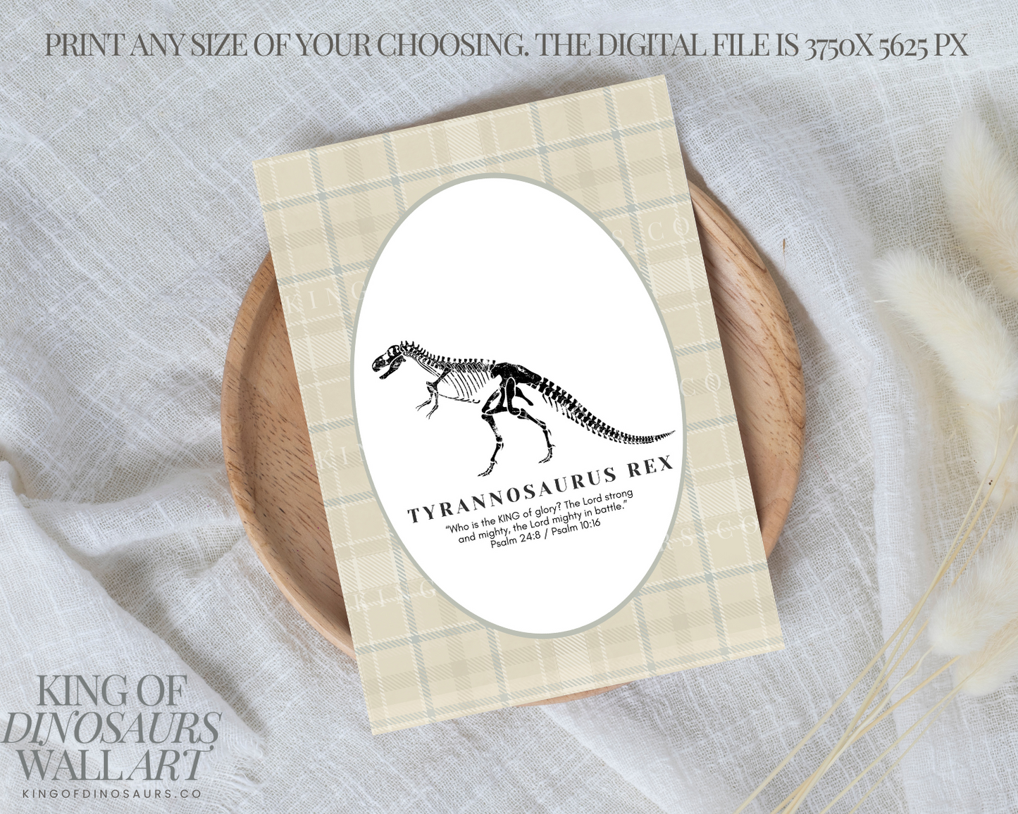 004 Tyrannosaurus Digital Art