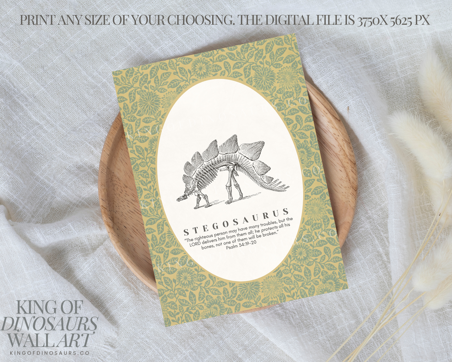 008 Stegosaurus Digital Art