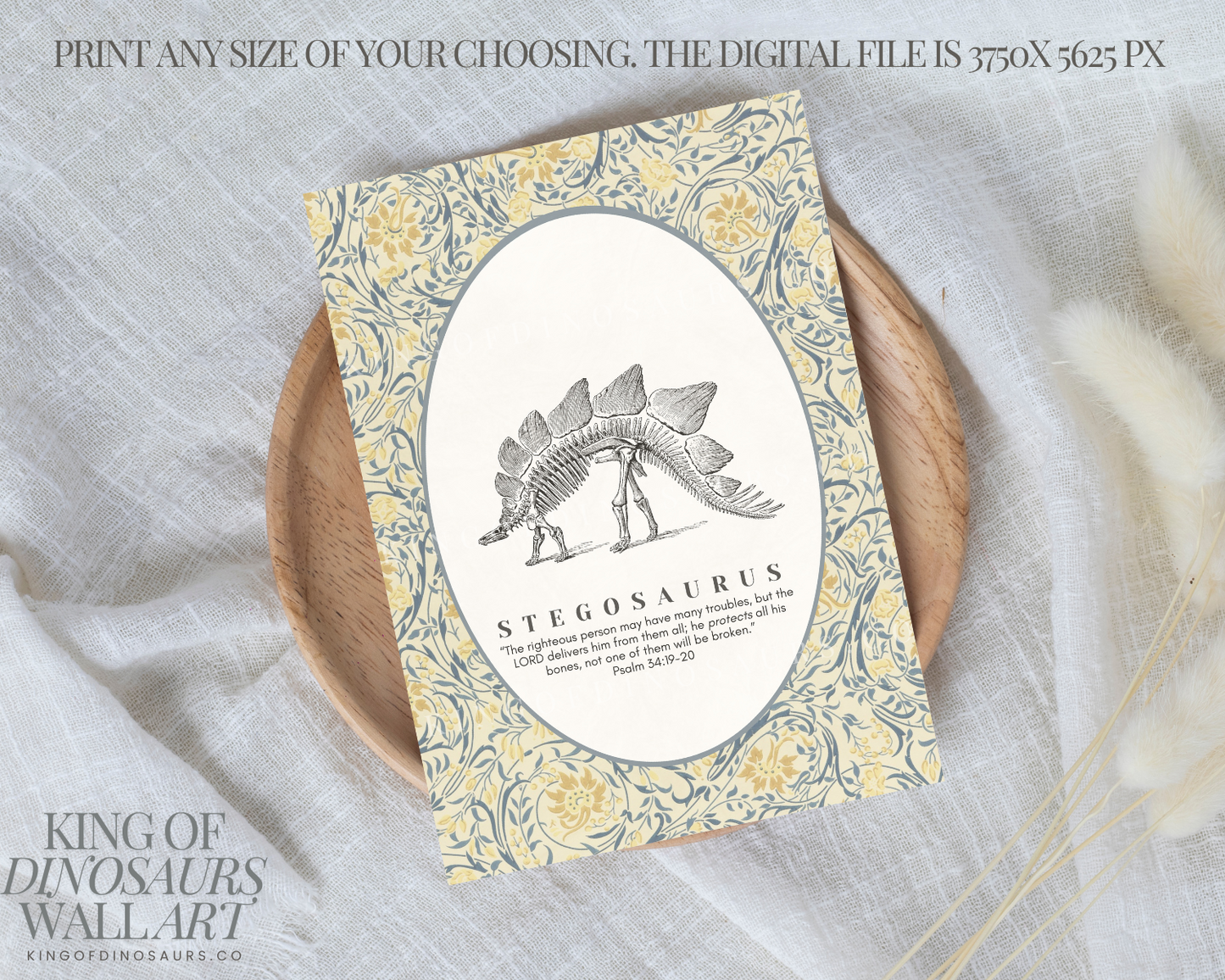 003 Stegosaurus Digital Art