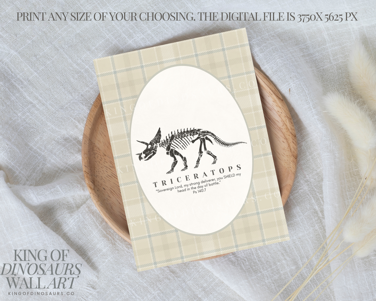 004 Triceratops Digital Art