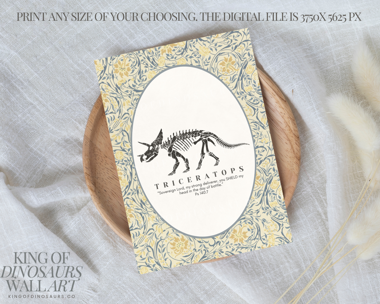 003 Triceratops Digital Art