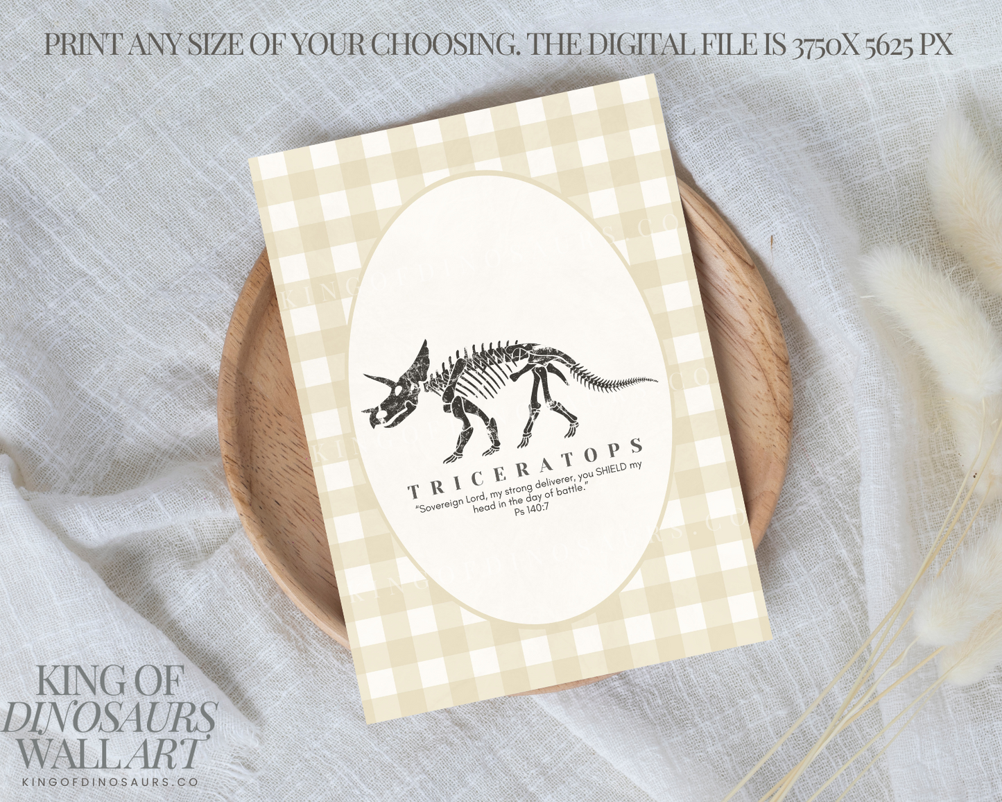 009 Triceratops Digital Art