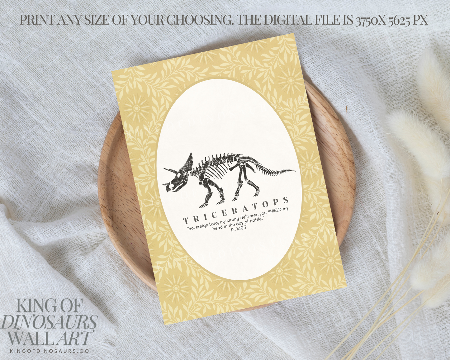 007 Triceratops Digital Art