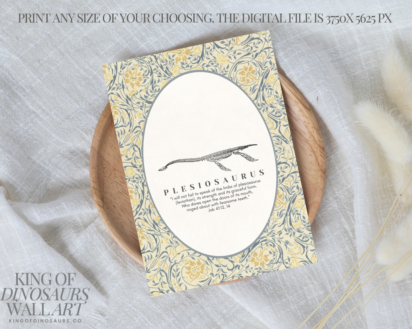 003 Plesiosaurus Digital Art