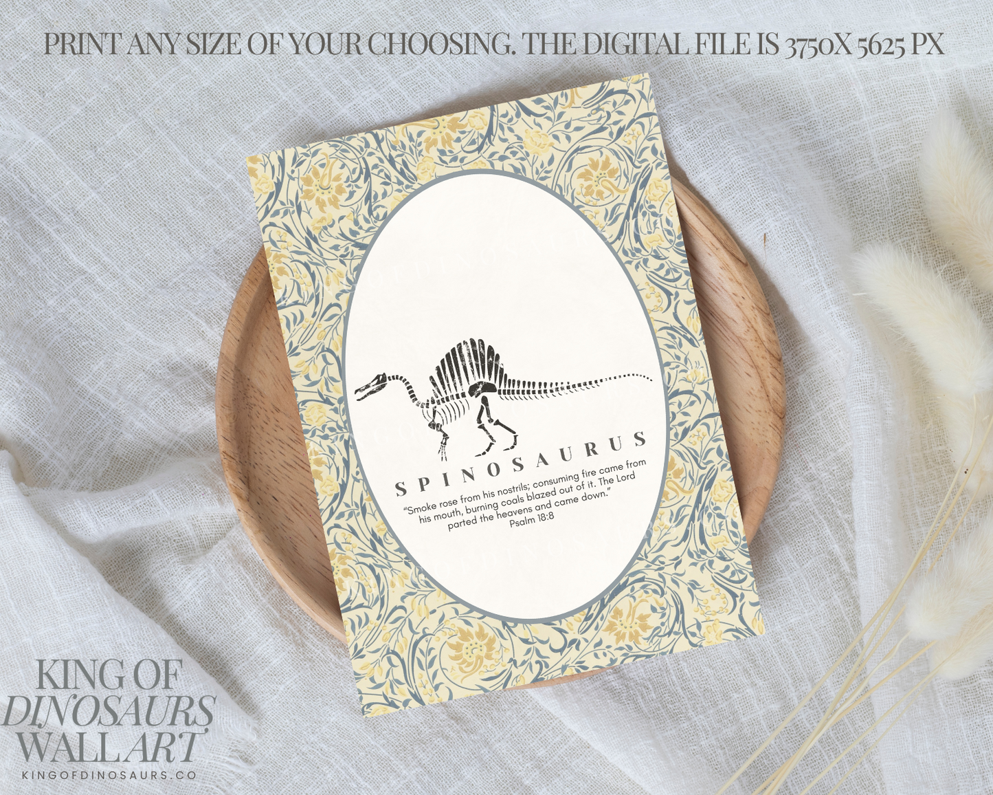 003 Spinosaurus Digital Art