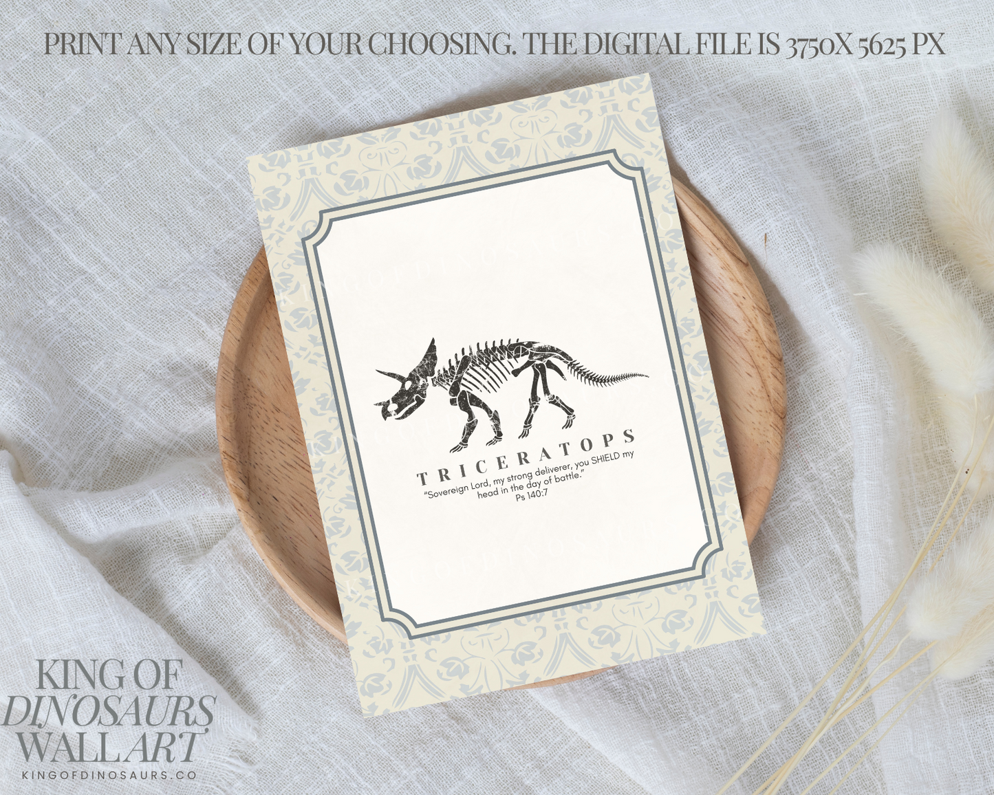 010 Triceratops Digital Art