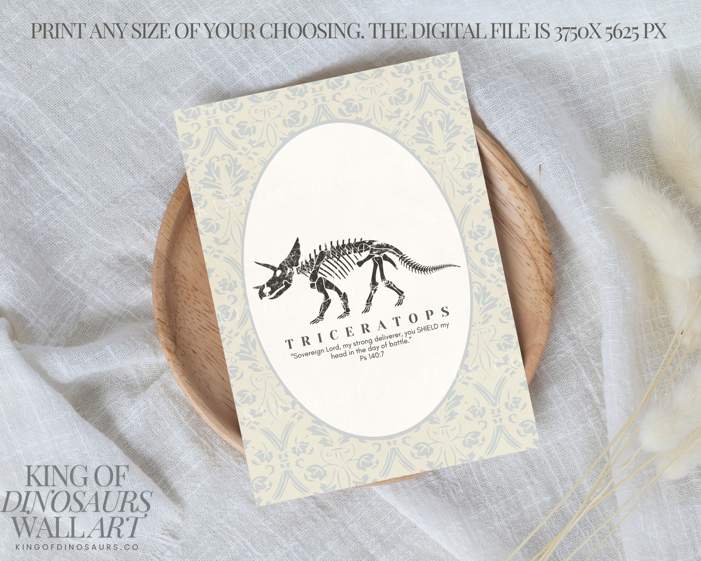 011 Triceratops Digital Art