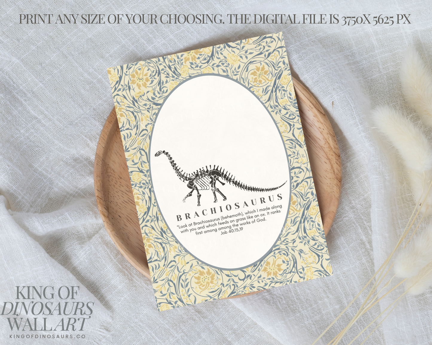 003 Brachiosaurus Digital Art