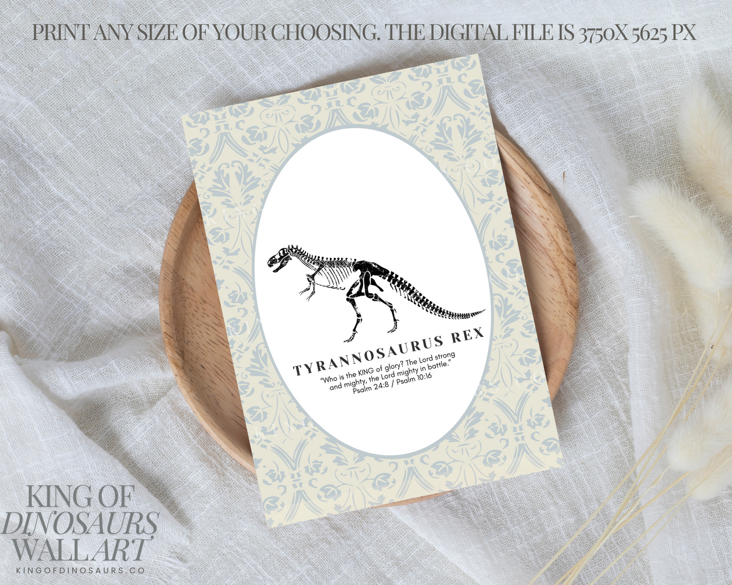 011 Tyrannosaurus Digital Art