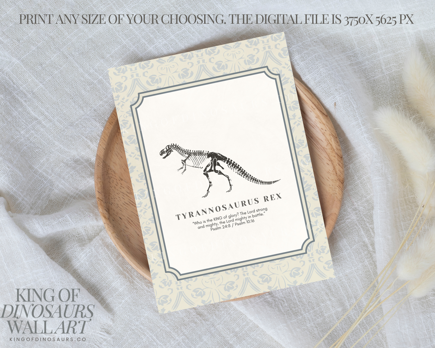 010 Tyrannosaurus Digital Art