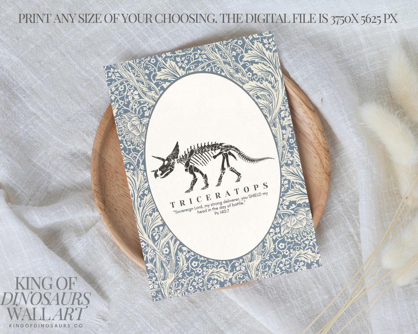 002 Triceratops Digital Art