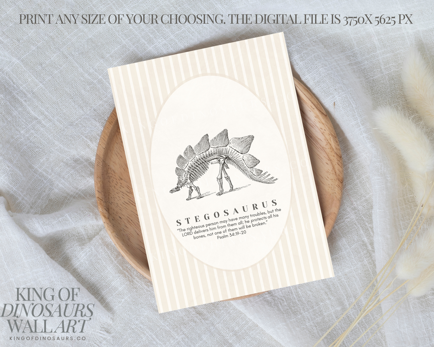 001 Stegosaurus Digital Art