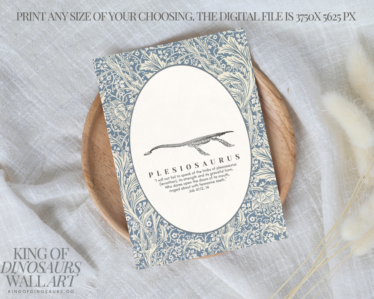 002 Plesiosaurus Digital Art