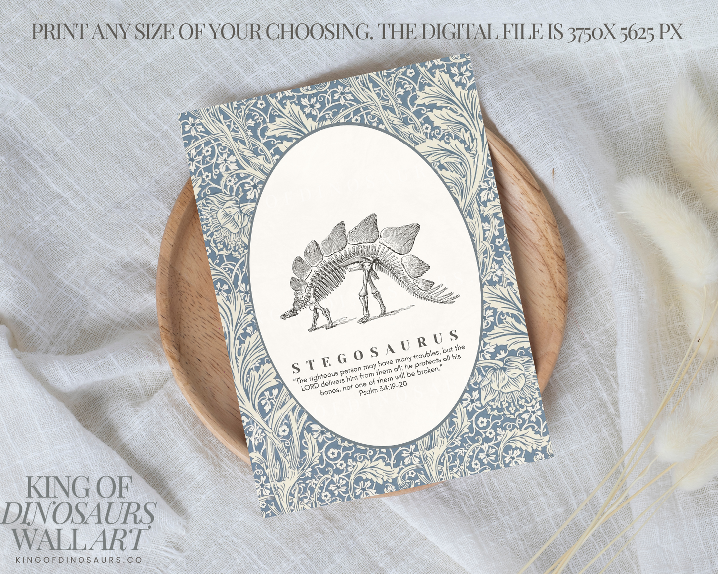 002 Stegosaurus Digital Art