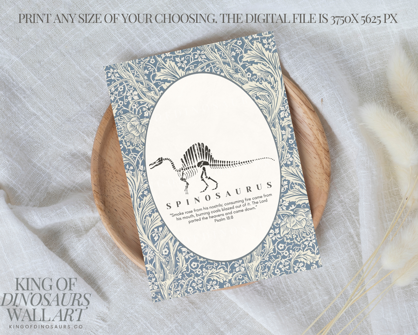 002 Spinosaurus Digital Art